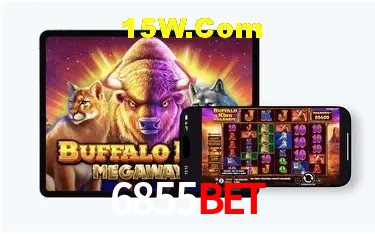 Experiência VIP 6855Bet